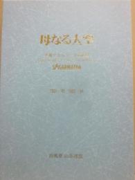 母なる大空　冬期サガルマータ南西壁　１９９１～１９９２　１９９３～１９９４　群馬県山岳連盟