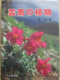 雲南の植物
