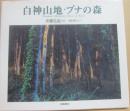 白神山地・ブナの森