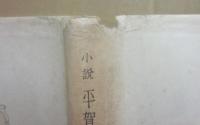 小説　平賀源内
