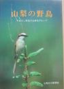 山梨の野鳥　（山日カラーブックス）