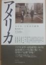 アメリカ　文学史・文化史の展望