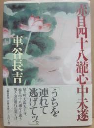 赤目四十八瀧心中未遂