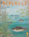 ブラックバス　（月刊たくさんのふしぎ　１９８６年７月号　通巻１６号　かがくのとも小学生版）