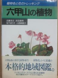六甲山の植物　植物名と花のトレッキング