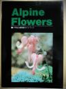 六甲高山植物園ガイドブック　Ａｌｐｉｎｅ　Ｆｌｏｗｅｒｓ