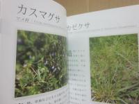 三段池公園の植物たち　小さな植物宇宙