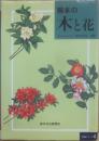 熊本の木と花　（図鑑シリーズ４）