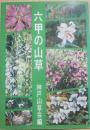六甲の山草　（のじぎく文庫）
