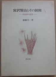 宮沢賢治とその展開　氷窒素の世界