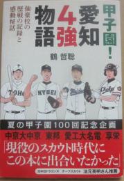 甲子園　愛知４強物語　中京大中京・東邦・愛工大名電・享栄