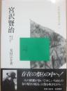 宮澤賢治　存在の祭りの中へ　（２０世紀思想家文庫　１２）