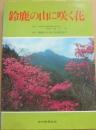 鈴鹿の山に咲く花