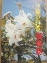 沖縄の自然　植物誌　（カラー百科シリーズ７）
