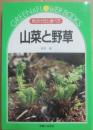 山菜と野草　見分け方と食べ方　（グリーン＆フラワーブックス）