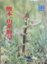 熊本の山菜・野草　（熊日選書）