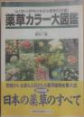 薬草カラー大図鑑　（主婦の友百科シリーズ）