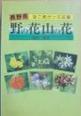長野県　野の花山の花