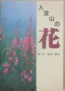 入笠山の花