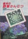 信州の野草かんさつ