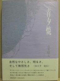 歌集　青夕焼　（中部短歌叢書第１３３篇）