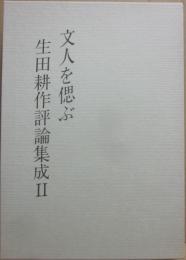 文人を偲ぶ　（生田耕作評論集成　２）