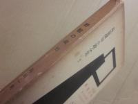 野獣の夜　東京暴力団　東京無法街　長篇探偵小説全集７