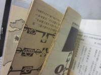 アラブの戦い　ゲリラ小説