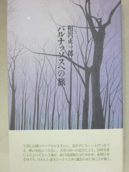 福袋・半額ポスター - クリーニング屋さん専用の通 詩集 古本、中古本、古書籍の / パルナッソスへの旅(相沢正一郎) 文学+小説