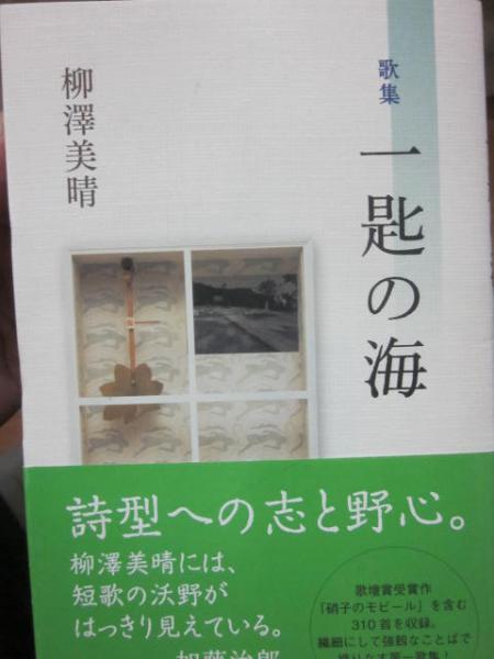 歌集 一匙の海(柳澤美晴) / 古本、中古本、古書籍の通販は「日本の
