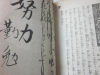 小説　ひな鳩　※状態難あり