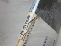 クロスオーバー作家論