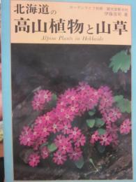 北海道の高山植物と山草