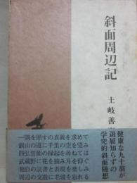 斜面周辺記