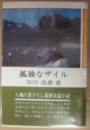 孤独なザイル