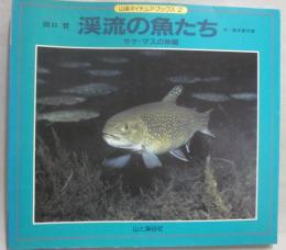 渓流の魚たち　サケ・マスの仲間　（山溪ネイチュア・ブックス２）