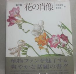 画文集　花の肖像