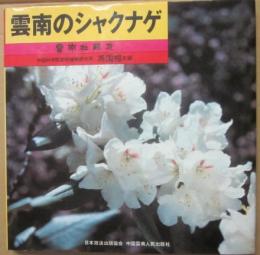 雲南のシャクナゲ　雲南杜鵑花　中国科学院昆明植物研究書　馮国楣・主編　日本放送出版協会　中国雲南人民出版社