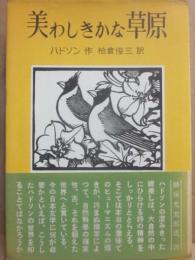美わしきかな草原