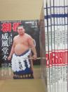 相撲雑誌　相撲　２０１０年１月号～１２月号うち、３月号・７月号欠　１０冊一括セット　（平成２２年）