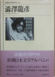 澁澤龍彦　（新潮日本文学アルバム５４）