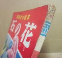 講談社の絵本　石の花