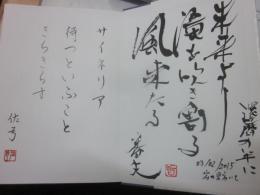 平成俳人大全書　第３巻　関東篇（埼玉・千葉・茨城・群馬・栃木・山梨県）