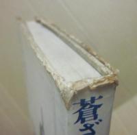 蒼ざめた馬を見よ