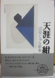 歌集　天涯の紺