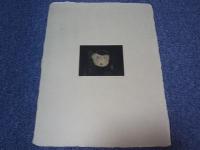 重野克明　真作　銅版画　「をりこみ少年」　限18/31　サイン　11×8.5㎝　エッチング