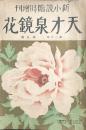 天才泉鏡花　新小説臨時増刊