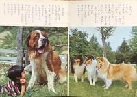 いぬ　ひかりのくにカラーえほん 13