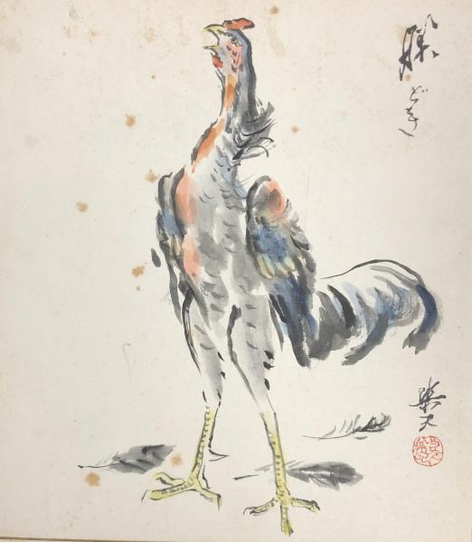 カラスウリ 水彩画 フレーム付き 楽天市場】窓ガラス フィルム 窓ガラスフィルム おしゃれ 目隠し