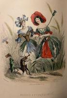 フランス語版　Les Fleurs Animees（レ・フルール・アニメ　花の幻想）